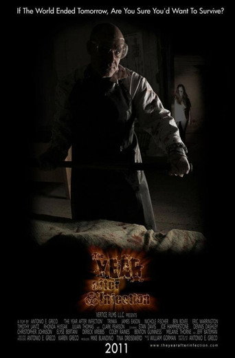 Movie poster for The Year After Infection (2012)