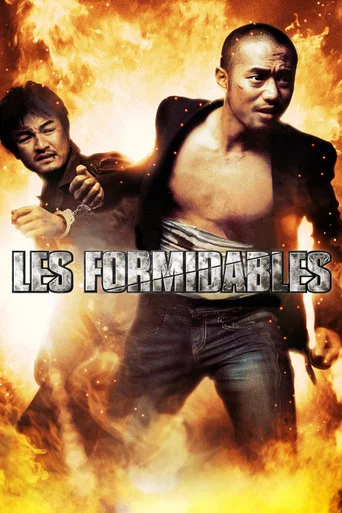 Movie poster for Les Formidables (2006)