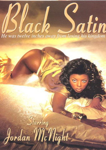 Movie poster for Black Satin (1994)