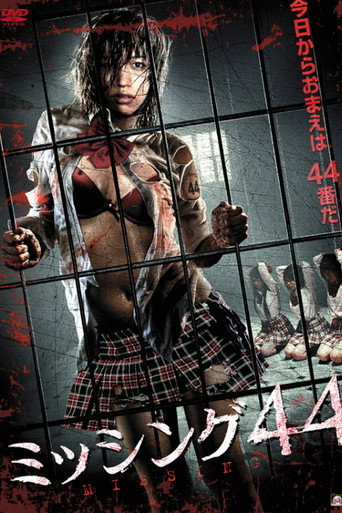 Movie poster for Missing 44 (2010)