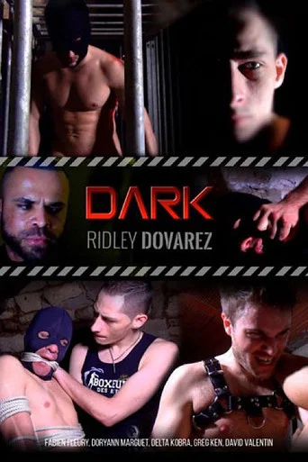 Movie poster for Dark (2017)