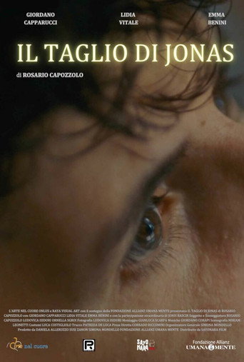 Movie poster for Jonas' Haircut (2024)