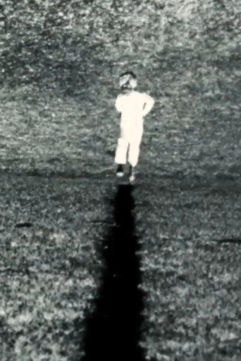 Movie poster for In the form of the letter X (1985)