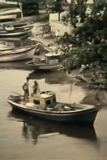 Movie poster for O Grito do Rio (1981)