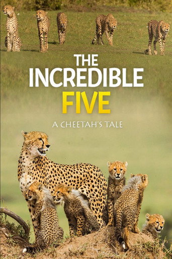 Movie poster for The Incredible Five: A Cheetah's Tale (2020)
