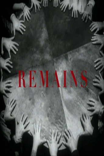 Movie poster for Remains (2014)