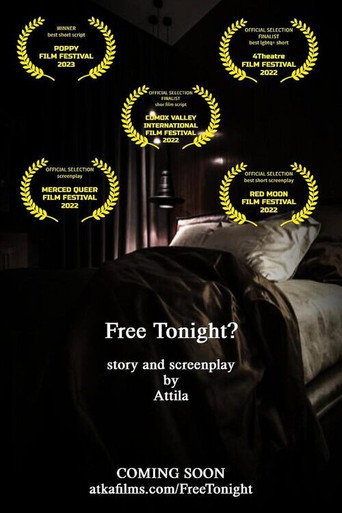 Movie poster for Free Tonight?