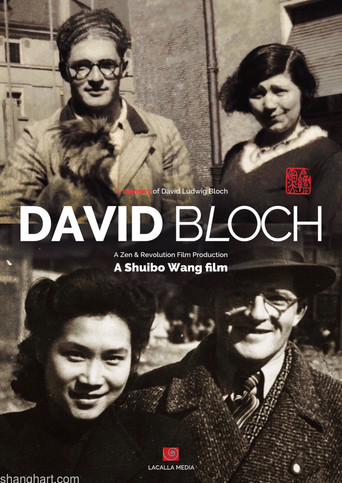 Movie poster for Who Is David Bloch (2025)