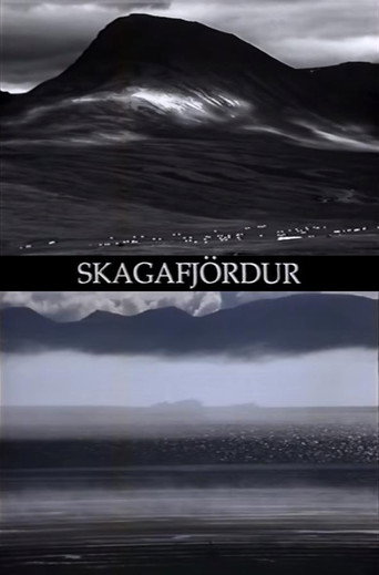Skagafjördur poster