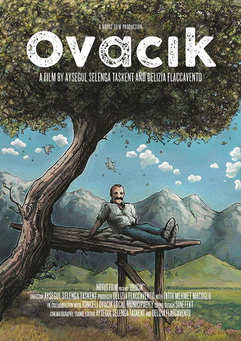Movie poster for Ovacik (2019)