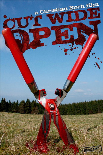 Movie poster for Cut Wide Open (2010)