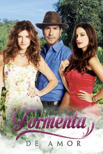 Tormenta de amor poster