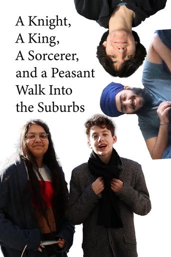 Movie poster for A Knight, a King, a Sorcerer, and a Peasant Walk Into the Suburbs (2022)
