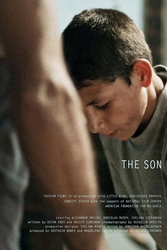 Movie poster for The Son (2015)