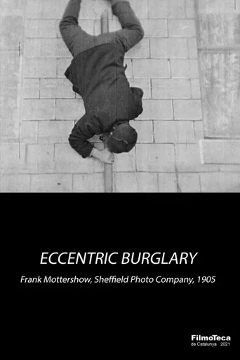 Movie poster for An Eccentric Burglary (1905)
