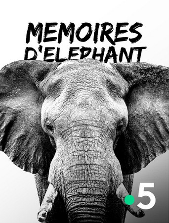 Movie poster for Mémoires d'éléphant (2018)