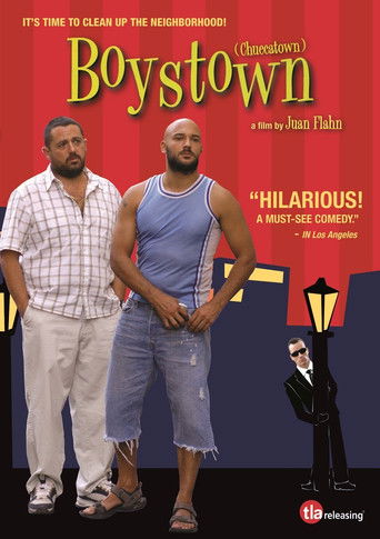 Boystown poster