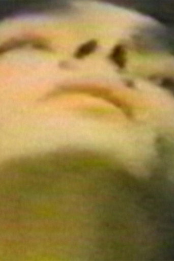 Movie poster for The Hundred Videos #1 (1996)