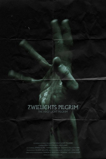 Movie poster for The Half Light Pilgrim