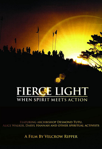 Movie poster for Fierce Light: When Spirit Meets Action (2008)