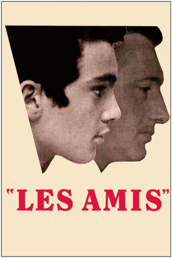 Movie poster for The Friends (1971)