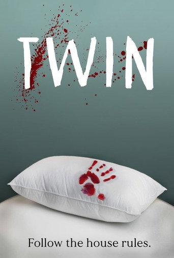 Movie poster for Twin (2021)