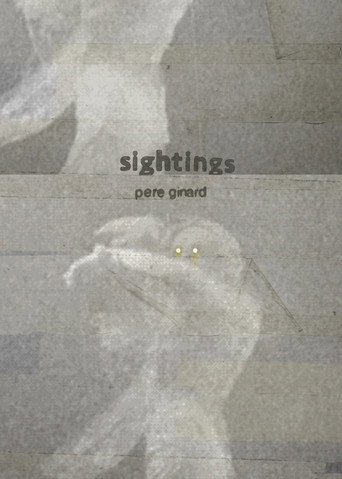 Movie poster for Sightings (2023)