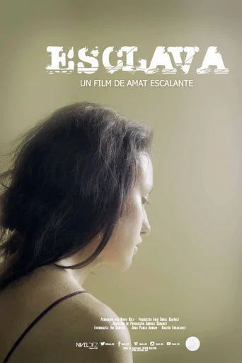 Movie poster for Slave (2014)