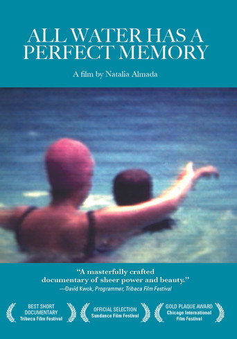 Movie poster for All Water Has a Perfect Memory (2001)