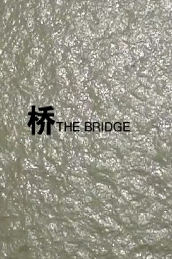 Movie poster for Bridge (2007)
