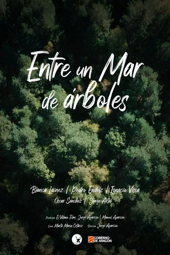 Movie poster for Entre un mar de árboles (2026)