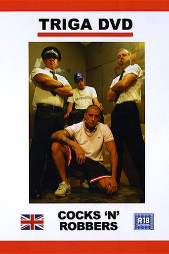 Movie poster for Cocks 'n' Robbers (2010)