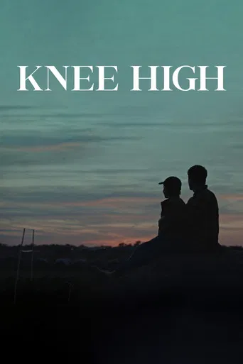 Knee High poster