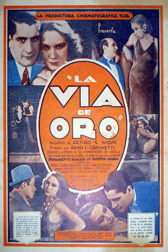 Movie poster for The Gold Route (1931)