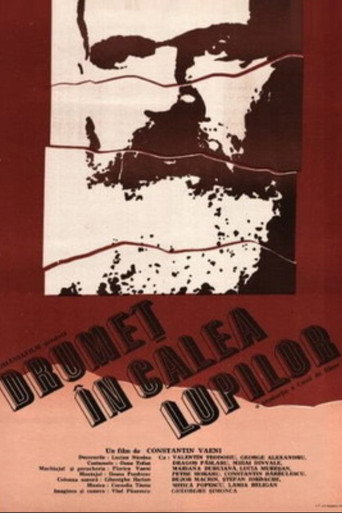 Movie poster for Drumeț în calea lupilor (1990)