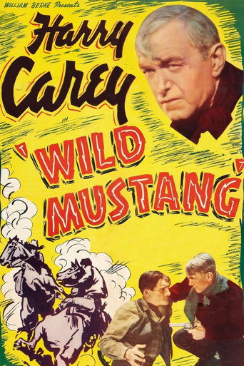 Movie poster for Wild Mustang (1935)