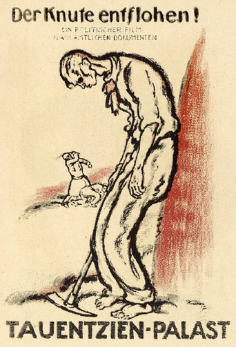 Movie poster for Der Knute entflohen (1917)