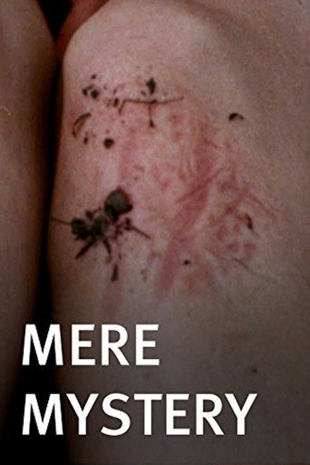 Movie poster for Mere Mystery (2010)
