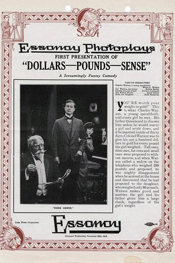 Movie poster for Dollars-Pounds-Sense (1913)