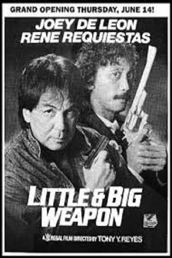 Movie poster for Little & Big Weapon (1990)