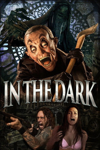 Movie poster for In the Dark (2015)