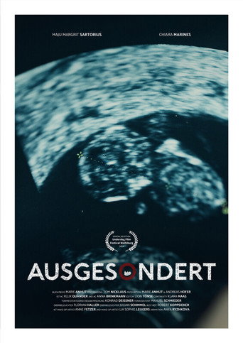 Movie poster for Screened Out (2025)