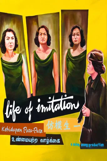 Movie poster for Life of Imitation (2009)