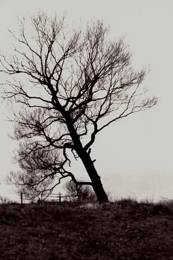 The Harrowed Coast poster