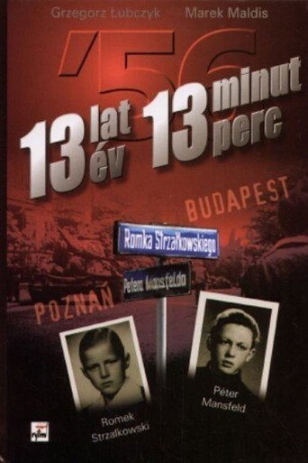 Movie poster for 13 Years, 13 Minutes (2008)