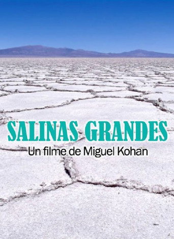 Movie poster for Salinas grandes (2014)