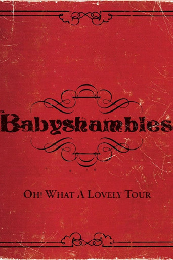Movie poster for Oh! What a Lovely Tour - Babyshambles Live (2008)