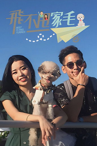 Best Flying Furries BFF poster