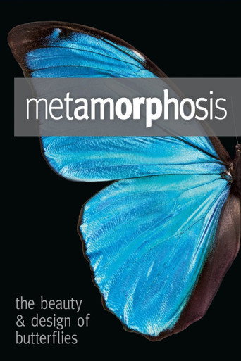 Movie poster for Metamorphosis: The Design and Beauty of Butterflies (2011)