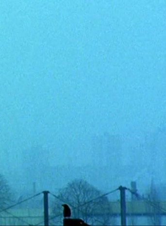 Movie poster for Les Choses rouges (1994)
